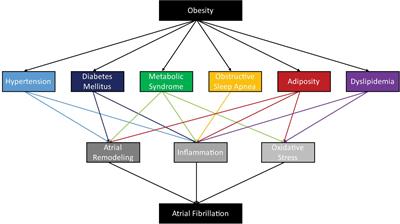 Arrhythmogenic Substrates for Atrial Fibrillation in Obesity